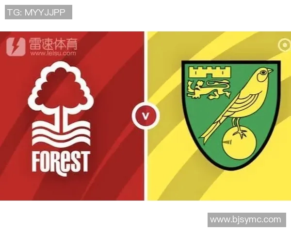 诺丁汉与雷丁比赛前瞻及比分预测分析，谁将赢得胜利